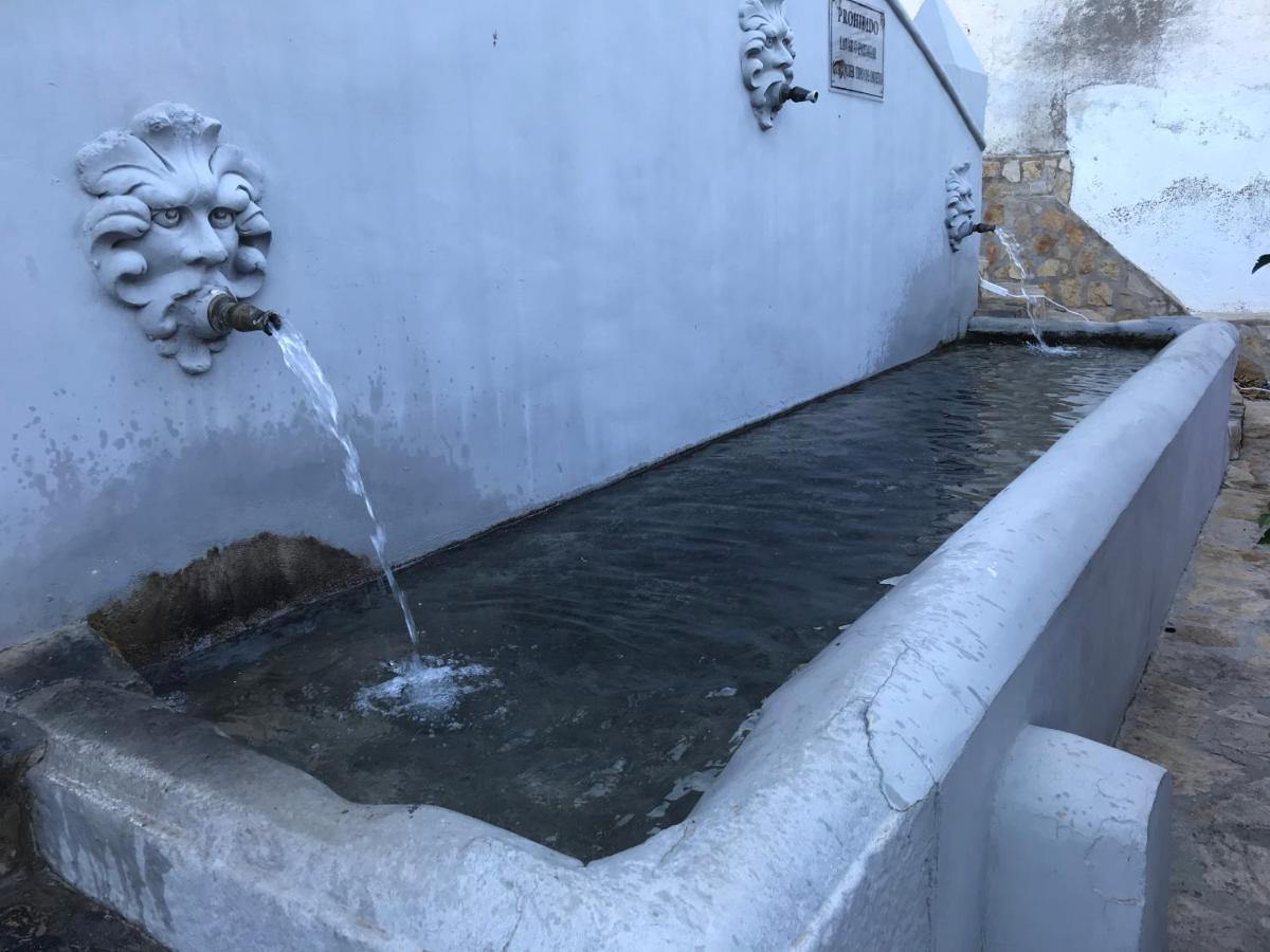 Casa Sol Y Aire - Vakantievilla In Dorp Met Prive Zwembad Pinos del Valle 外观 照片